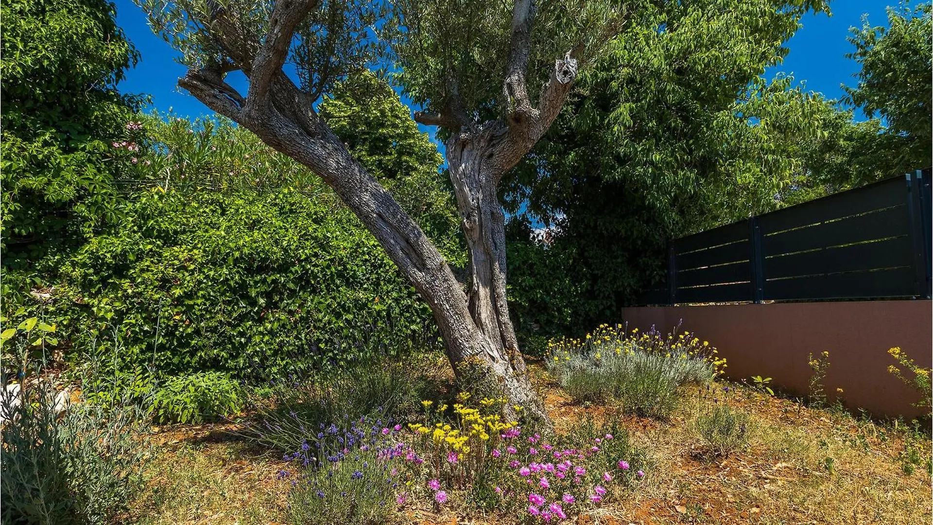 בית נופש פולה Villa Martulin קרואטיה